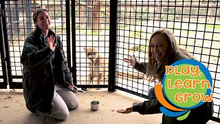 Texas Wildlife at the Abilene Zoo | Part 1 of 3 | Play, Learn, Grow