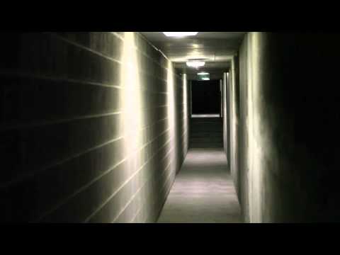 Chamaeleon - The new standard for fire standard lighting - video from enLighten Australia