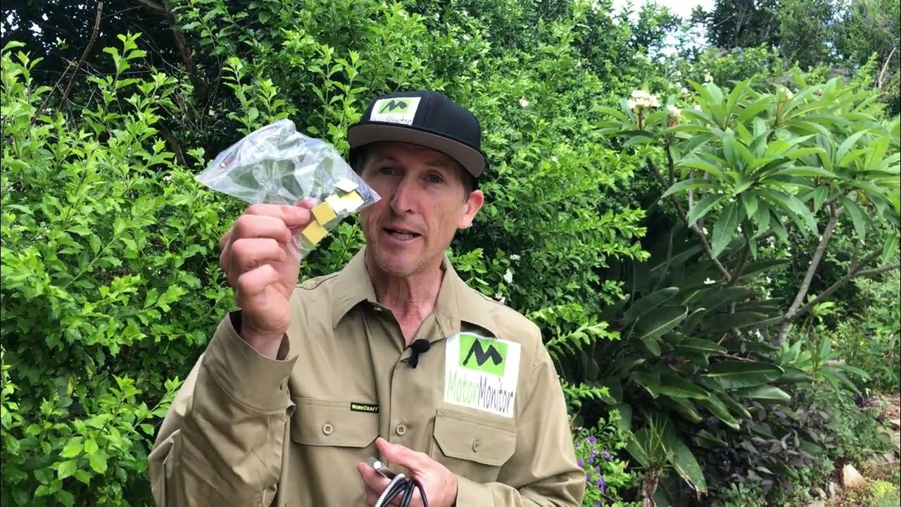 Open Door Alarm for Canopy and Toolbox Sensor Overview YouTube