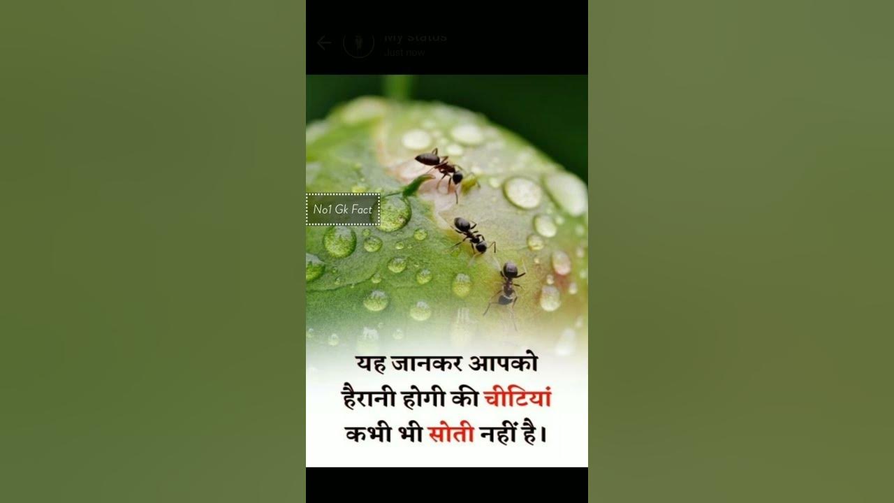 Facts new Facts In Hindi anand Facts facts Shorts amazing Facts fact facts-new-facts-in-hindi-anand-facts-facts-shorts-amazing-facts-fact