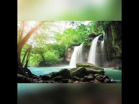 Relax Music (Bloome Forever) By Closer Studio