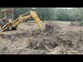 Digging up an old pecan stump with a 1987 Ford 655A backhoe