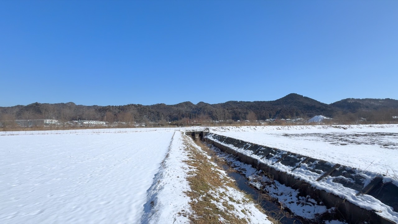絶頂真冬の川に水生昆虫はいるのか　【昆虫】