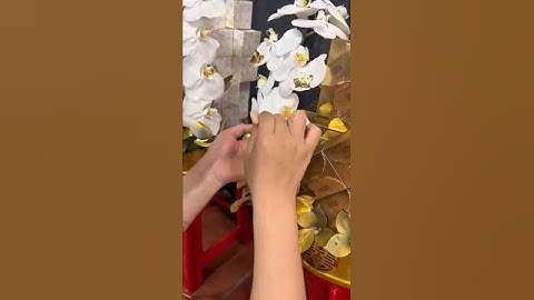 Dát vàng hoa lan #phongthuy #florist #trapanhoi #nghithuwedding #trapcuoi #wedding #datvang #hoalan