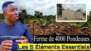 Les 5 Éléments( STRUCTURES) d'une ferme Avicole semi - industrielle !