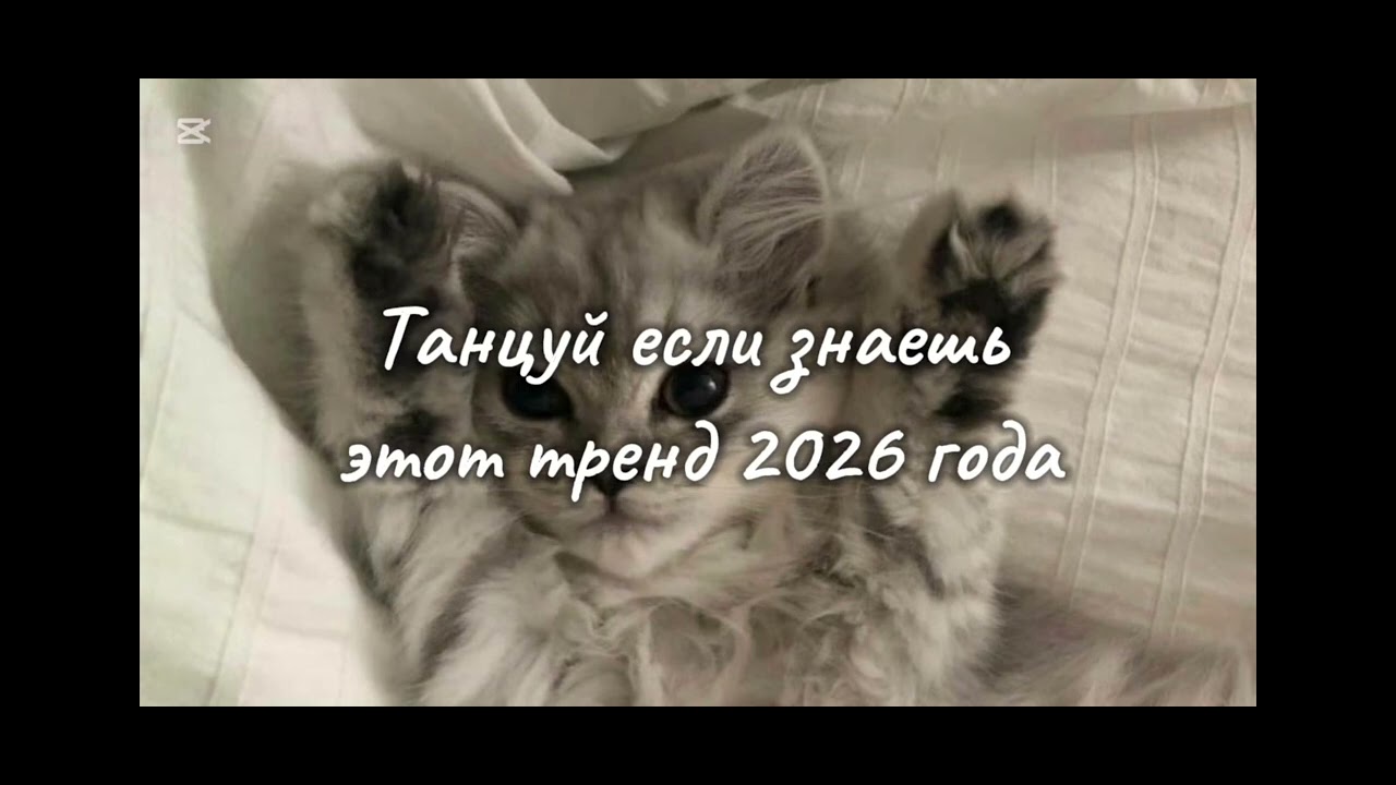 ♡ Танцуй тренды ♡