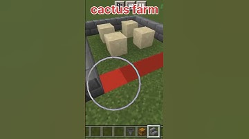 Minecraft cactus farm #minecraft #viral #shorts