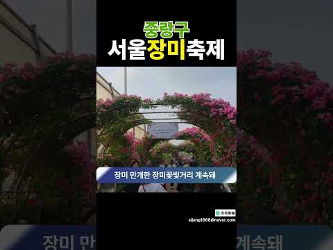 중랑, 장미축제 그 후
