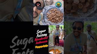 Sugar Factory Indonesia: Sugar from sap of coconut tree #wonderfulindonesia #foodindonesia