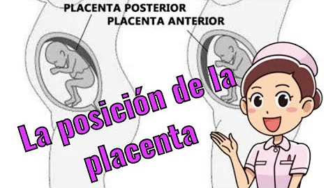 ¿Cómo se sabe si queda placenta?