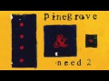 Pinegrove  need 2