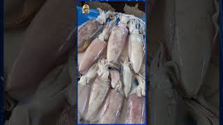 Cumi-cumi Harga Murah, Incaran Para Pecinta Seafood