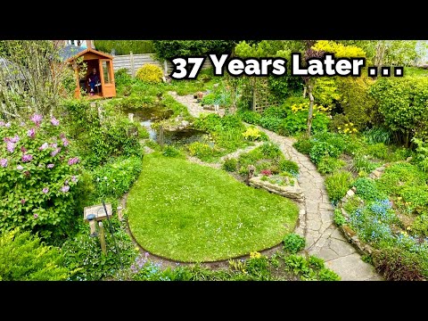 Video: Záhradníctvo divokej zveri po celý rok – pestovanie záhrady s divokou zverou pre všetky ročné obdobia