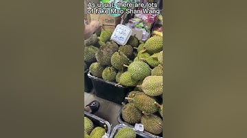 Durian Season is Back