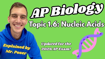 1.6 Nucleïnezuren - AP Biologie (bijgewerkt 2025-2026)