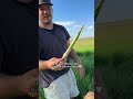 K so grateful for what our land provides for us 🤍 #homestead #familyfarm #family #asparagus