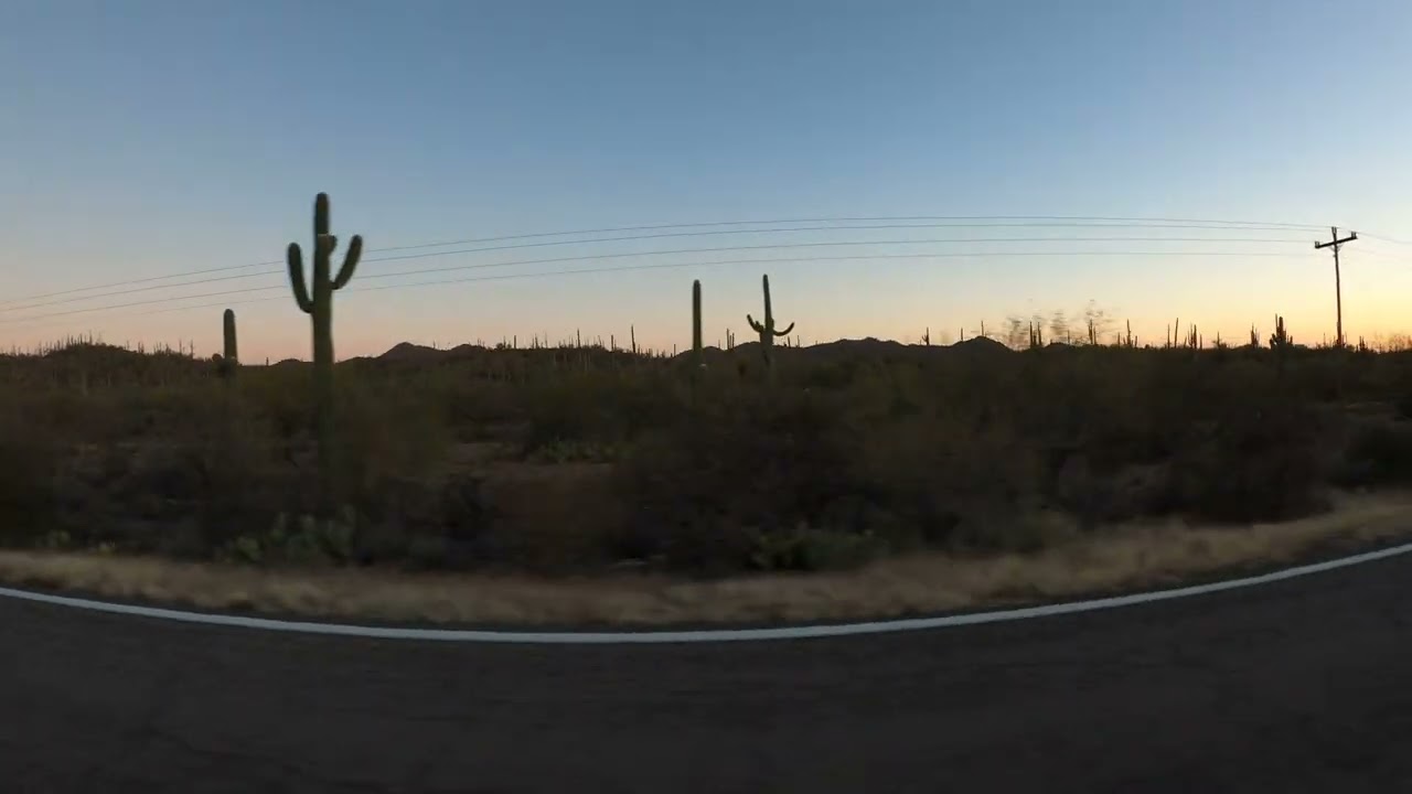 Sunrise on Saguaro Cactus, Covered Wells, Quijotoa, Arizona, Tohono O'odham Nation, AZ-86, GX070990