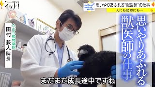 思いやりあふれる“獣医師”の仕事　人にも動物にも寄り添う動物病院の院長に密着