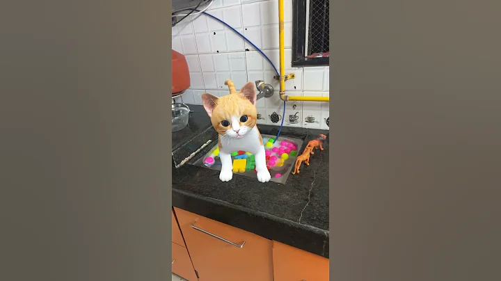 Watch the video about Cat🐈ko Aaya Gussa😡 #cat #catlover #kitten #funny #sphynx #kitten #shortsviral #trending #youtube