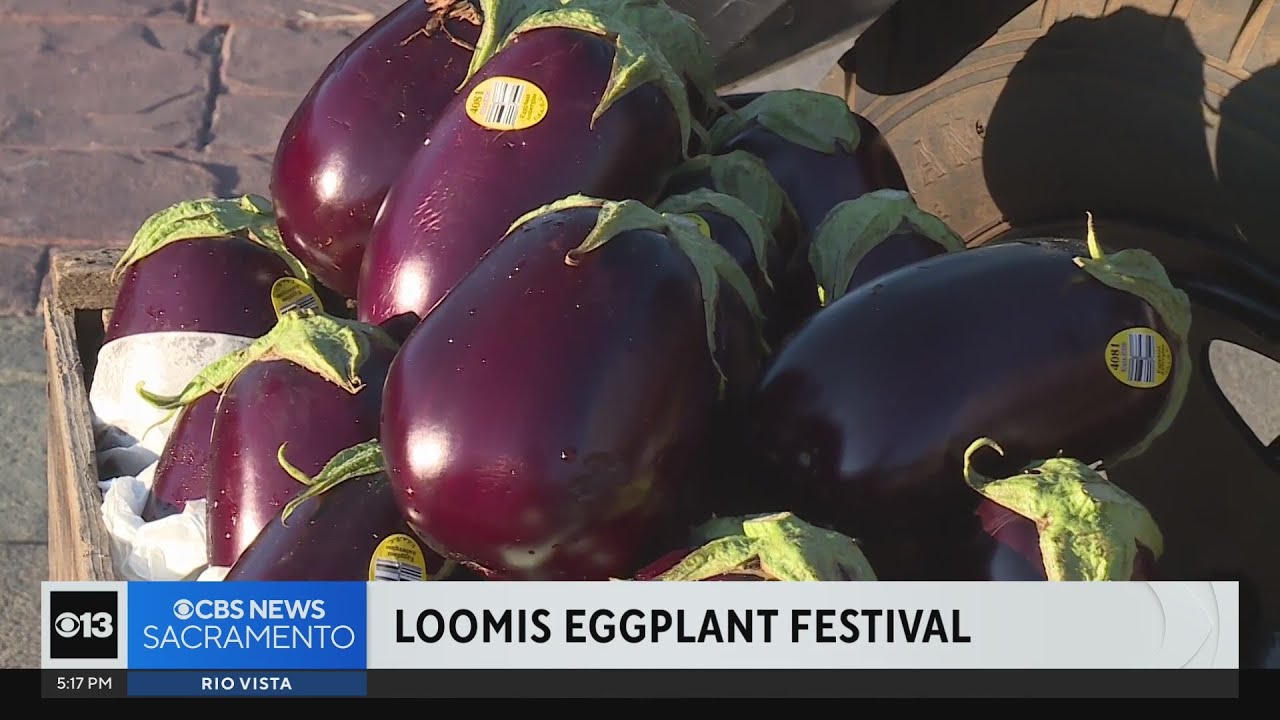 Loomis Eggplant Festival returns YouTube