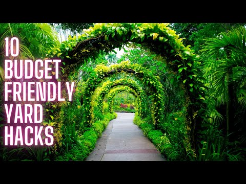 10 Budget Friendly Garden Secrets, Hacks And Upgrades