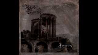 Bleeding Temple - Faceless Phenomena