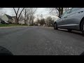 skating with the dogs