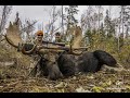 Brett's Maine Moose Hunt-2020