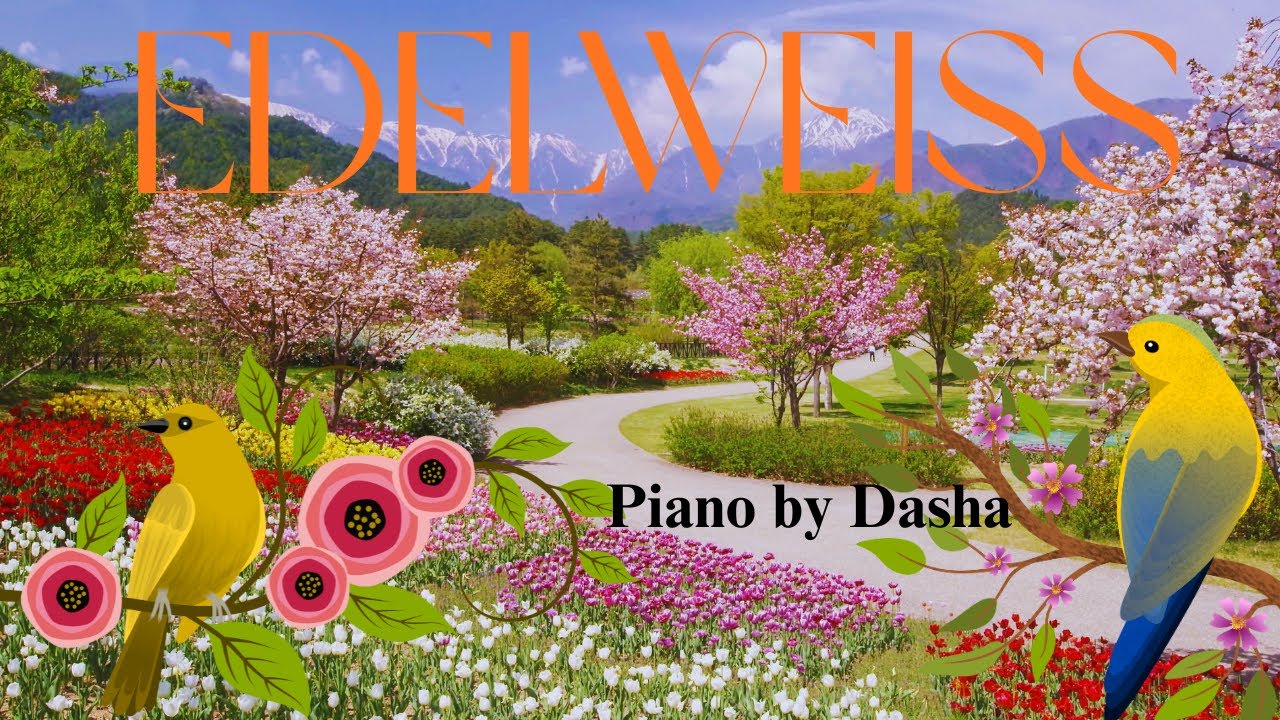 Edelweiss from The Sound of Music (Piano Cover)