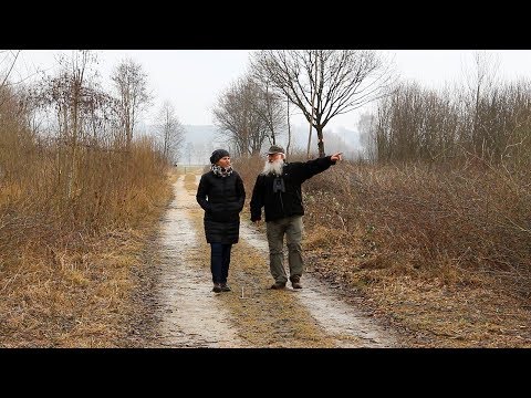 Video: Brutzeit Bei Katzen