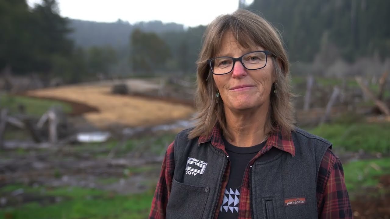 Строительство завершено: восстановление поймы реки Прейри-Крик в районе «О Рью».