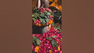 मात्र 3 महीने में मनोकामना पूर्ण II#upay #shiva#pandit_pradeep_ji_mishra