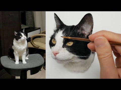Video: Cat Art Vergangenheit Und Gegenwart - Feline Würdigung Am Hug Your Pet Day