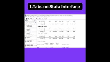 Pt.1 Stata Interface Tabs || Introduction to Stata for Beginners #stata #StataCorpLLC
