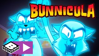 Bunnicula Chesters Neun Leben Cartoonito