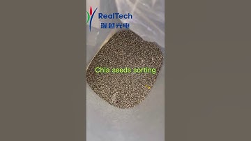 Chia Seed Color Sorter#machine #factory