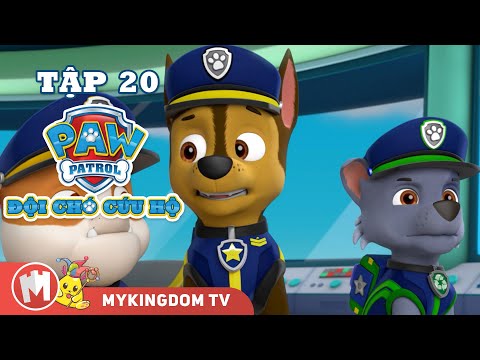 ĐỘI CHÓ CỨU HỘ PAW PATROL MINI | Tập 20: Giải Cứu Những Chú Mèo Hoàng Gia | Phim hoạt hình