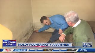 Moldy Fountain City apartment screenshot 4