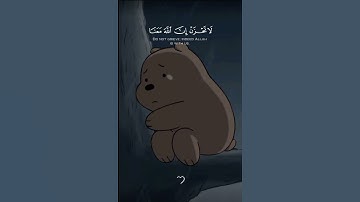 مواساة ربانيه 🥺🌷/لا تحزن ان الله معنا !/القارئ عبد الرحمن مسعد 🫶🏻