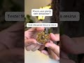 Não pode usar plantas frescas na resina? Testei e olha o resultado