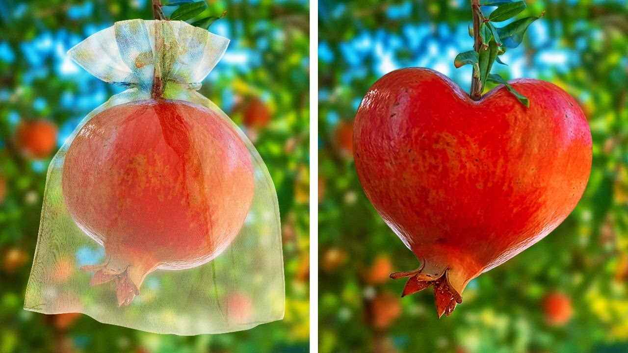 25 Simple Gardening Tips For Beginners And Pros! YouTube