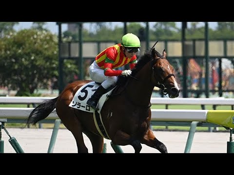 ミュージアムマイル メイクデビュー中京～弥生賞 全５戦 現地単勝馬券♪ ミュージアムマイル メイクデビュー中京～弥生賞 全5戦 現地
