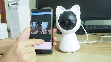 yoosee app cute cat  ip camera , cat pet camera