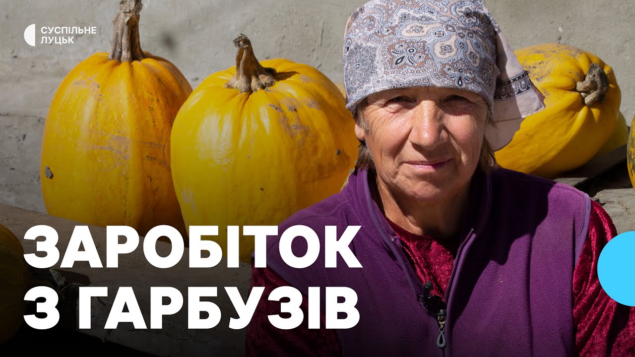 Як на Волині заробляють на гарбузах