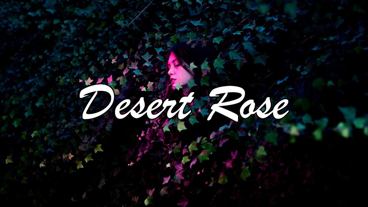 Aptin. Песня roses slow. ~ desert rose [slowed] | lolo zouai • 𝖘𝖍𝖔𝖛𝖛𝖝𝖆~🌹. Roses slow remix. Guns n roses don't cry клип.