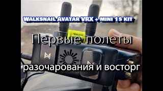 Первые полеты на цифре от Walksnail Avatar VRX + mini 1s kit