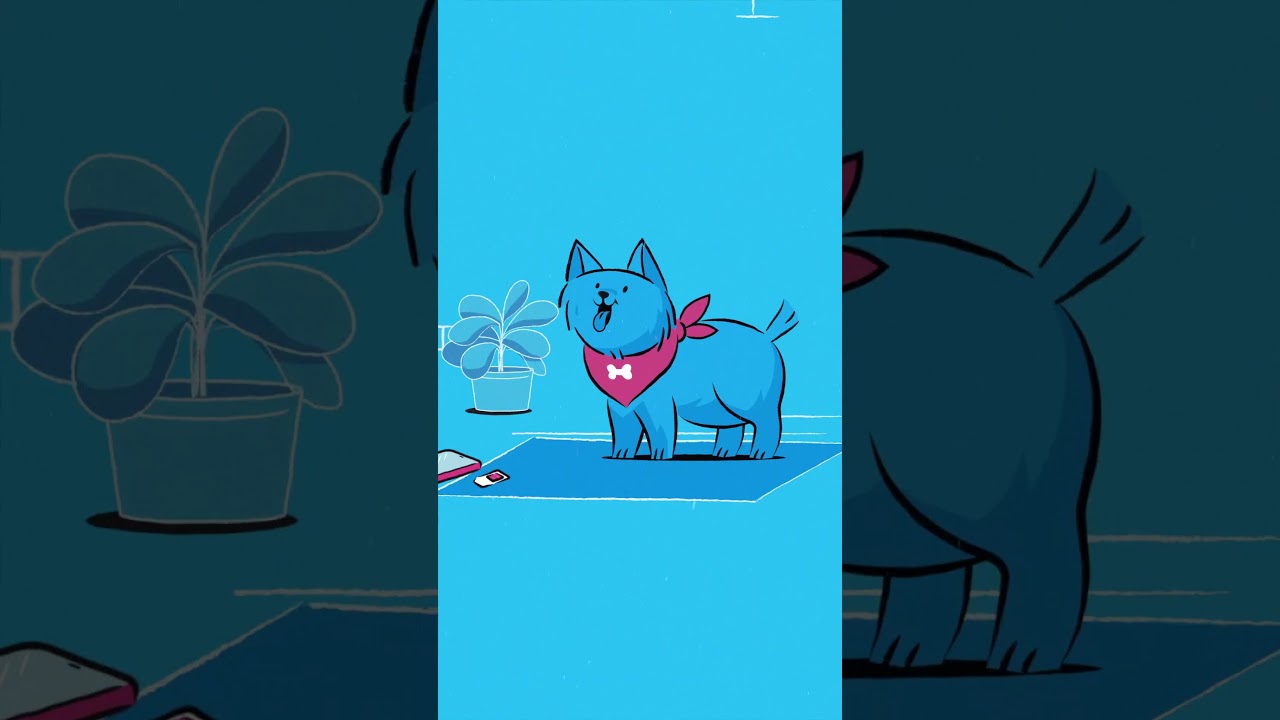 Choose Mobiles.co.uk