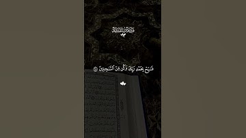 قرآن كريم سورة الحجر الآية (٩٧) (٩٨) (٩٩)