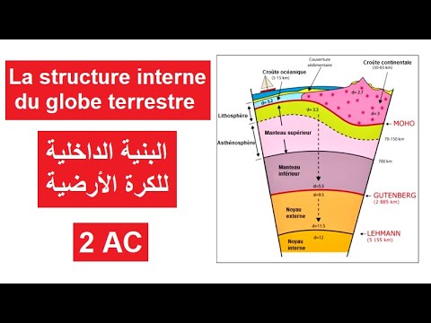 Vidéo: Manchots africains : caractéristiques de la structure externe et du comportement