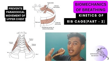 RIB CAGE KINETICS PART 2 - INTERCOASTAL AND SCALENE FUNCTION  (BIOMECHANICS OF THORAX )Physiotherapy